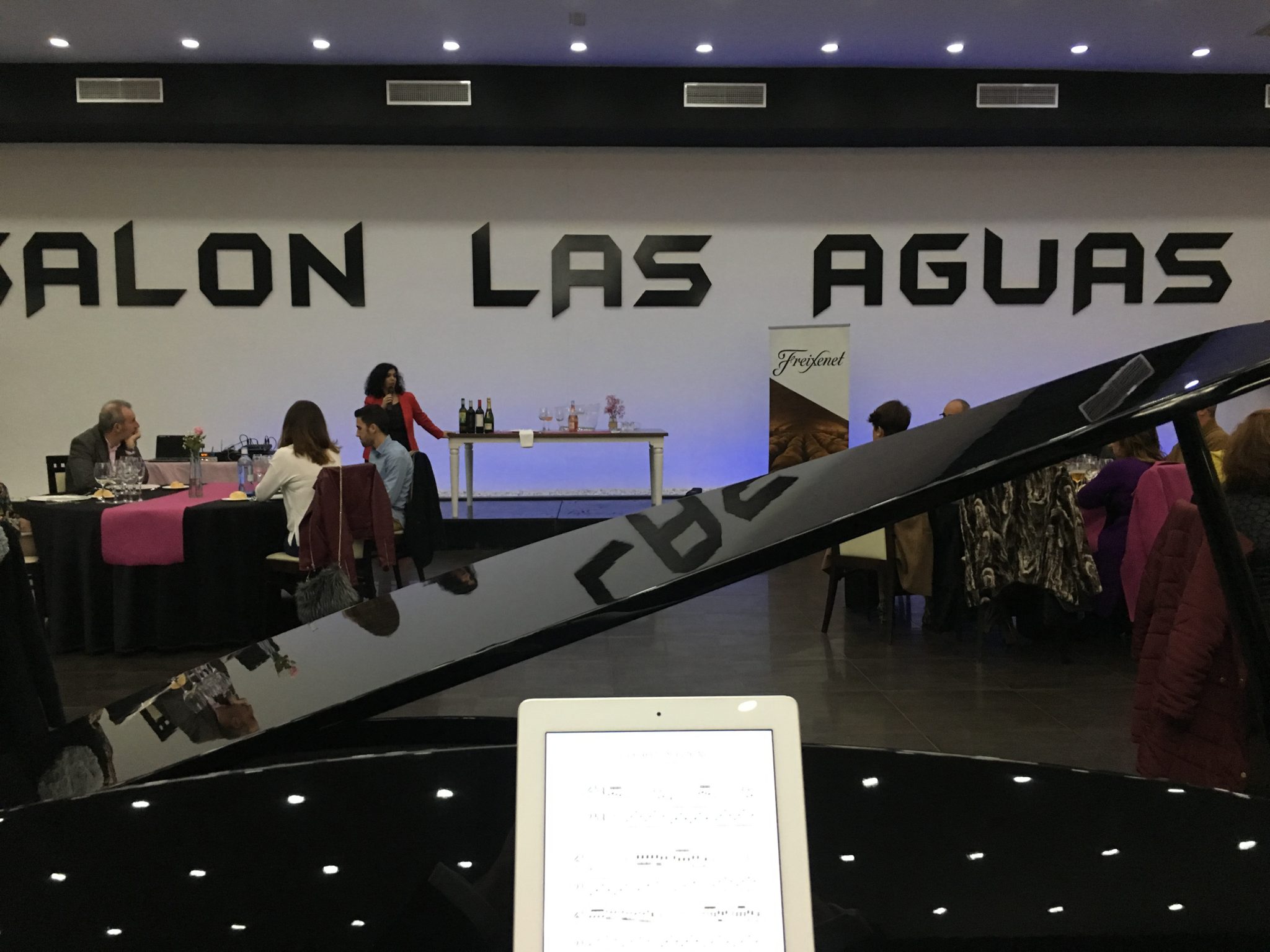 pianista en Salón Las Aguas El Viso
