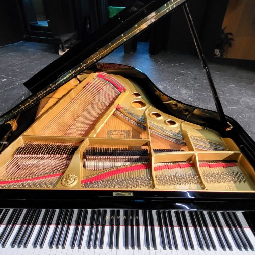 misericordia salida champán Piano Para Eventos - Alquiler de Pianos | Música para Bodas
