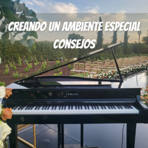 creando un ambiente especial