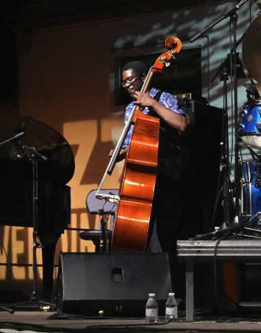 Contrabajo F. Müller Soloist 3/4