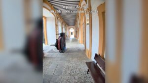 Piano de cola enfundado, camino de un salón del Real Alcázar de Sevilla